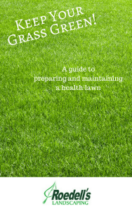 Grass Guide