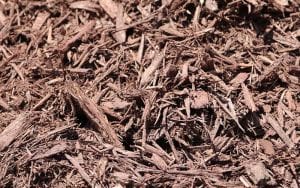 Brown/Chocolate Mulch