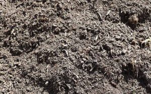 Cypress Blend Mulch