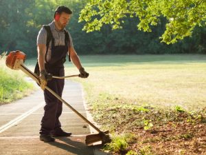 spring lawn care tips