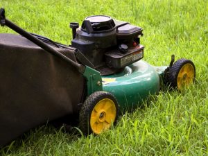 spring lawn care tips