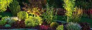 Landscape Lighting