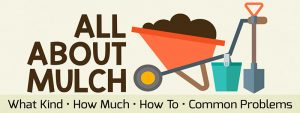 Mulch Guide