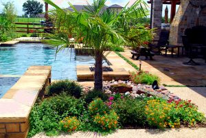 Pool Landscaping Plants