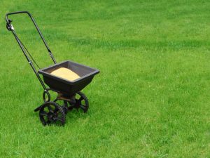 spring lawn care tips