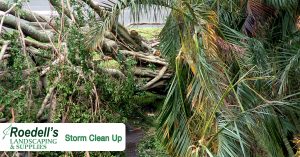 Hurricane Irma Clean-up